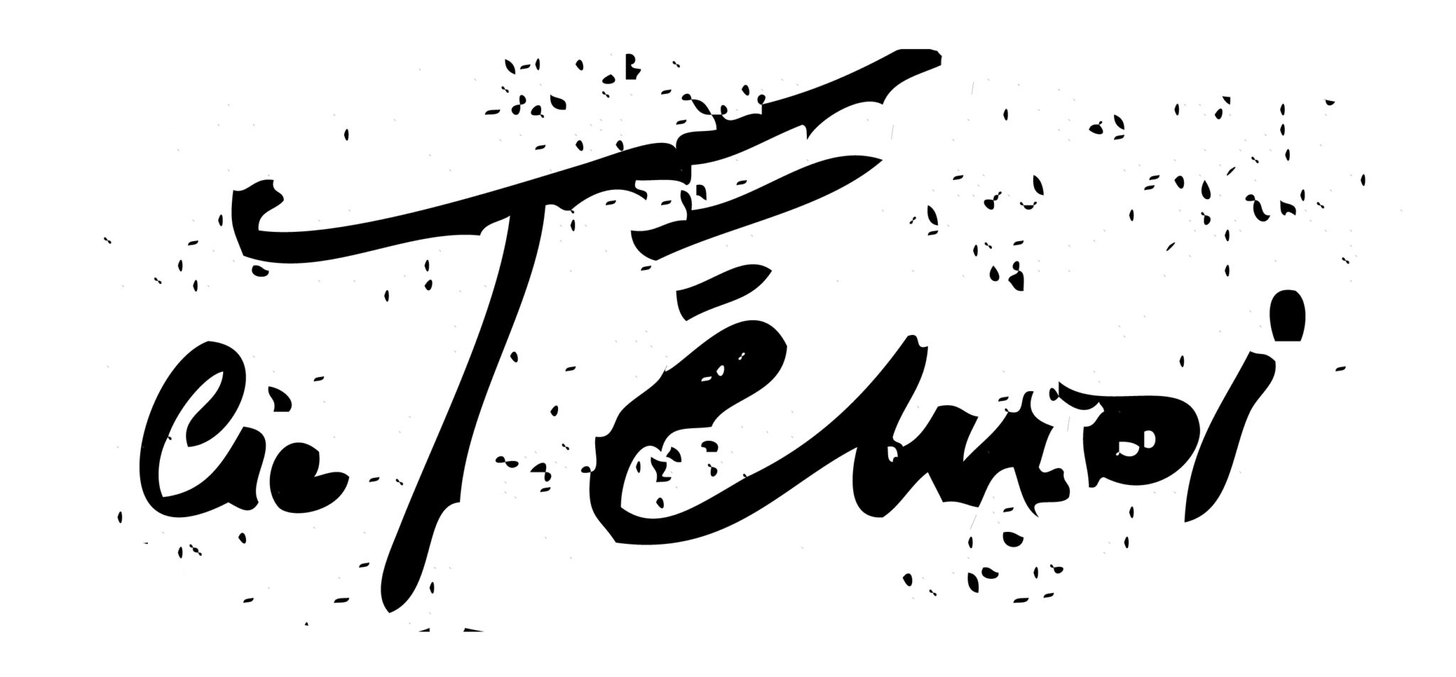 logo-TÉMOI